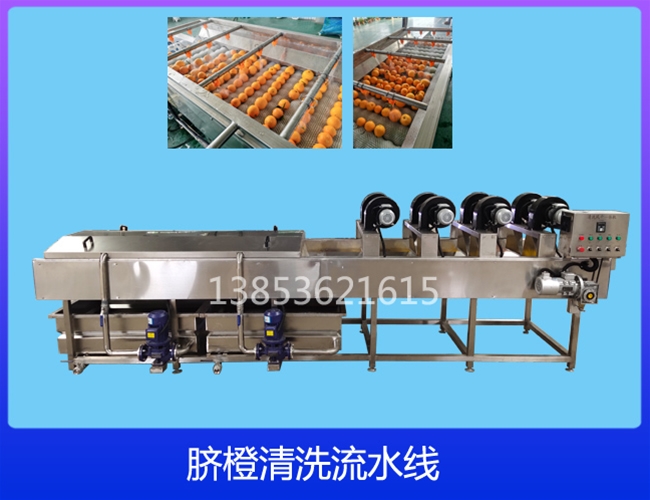 沃柑清洗机