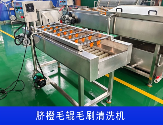 沃柑毛辊毛刷清洗机